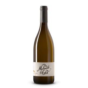 Friulano Friuli Grave DOC - Molmenti & Celot
