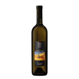 Pinot Nero Sonnemberg – Meran Burggräfler